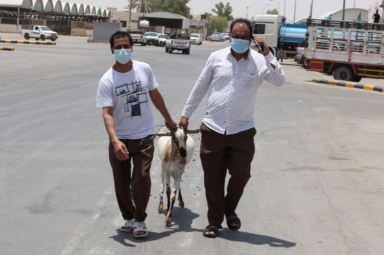 منافذ بيع الأضاحي في محيط الحرم المكي