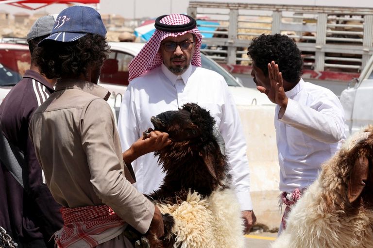 منافذ بيع الأضاحي في محيط الحرم المكي