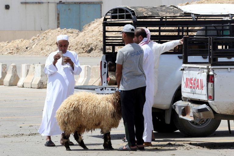 منافذ بيع الأضاحي في محيط الحرم المكي