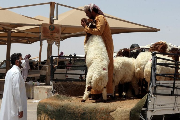 منافذ بيع الأضاحي في محيط الحرم المكي