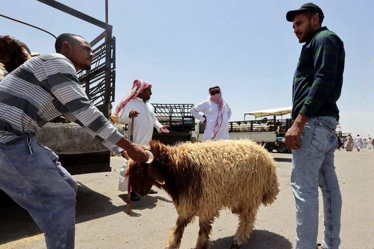 منافذ بيع الأضاحي في محيط الحرم المكي