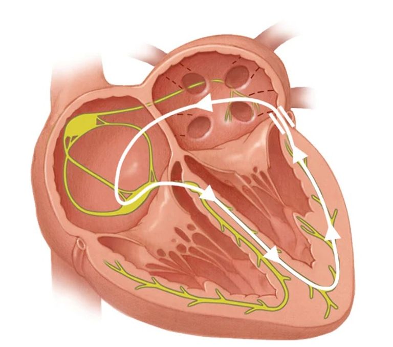 غرفة عمليات