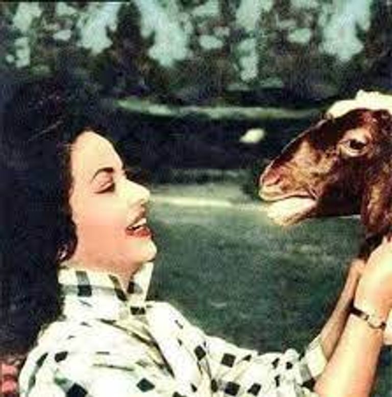 الفنانة شادية مع خروف العيد