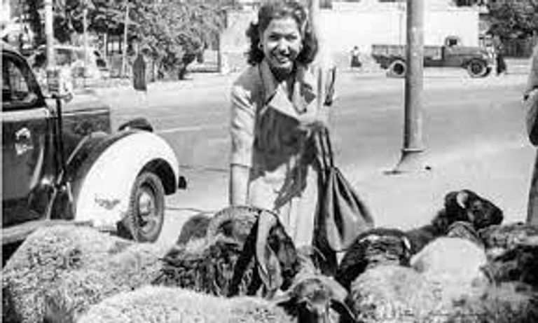 الفنانة شادية مع خروف العيد