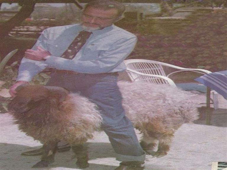 الفنانة شادية مع خروف العيد