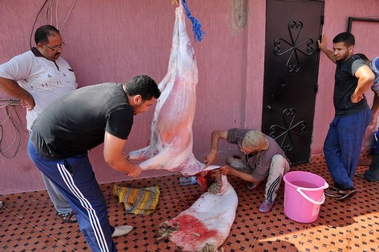 العيد الكبير في الجزائر.. أضحية بأجواء روحانية وتقليدية