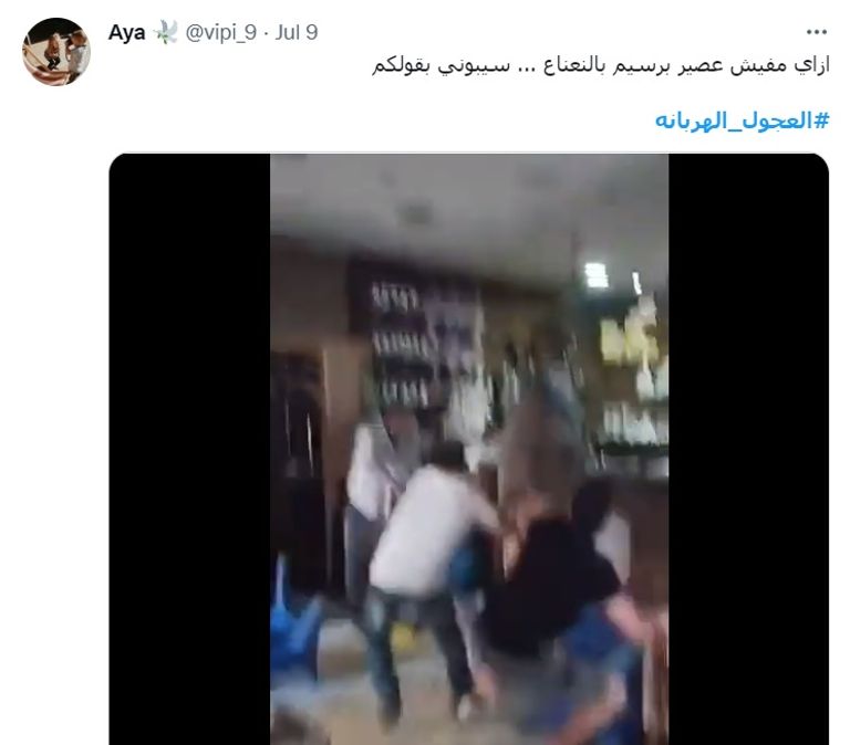 هروب عجول الأضاحي في مصر مسلسل مستمر - أرشيفية