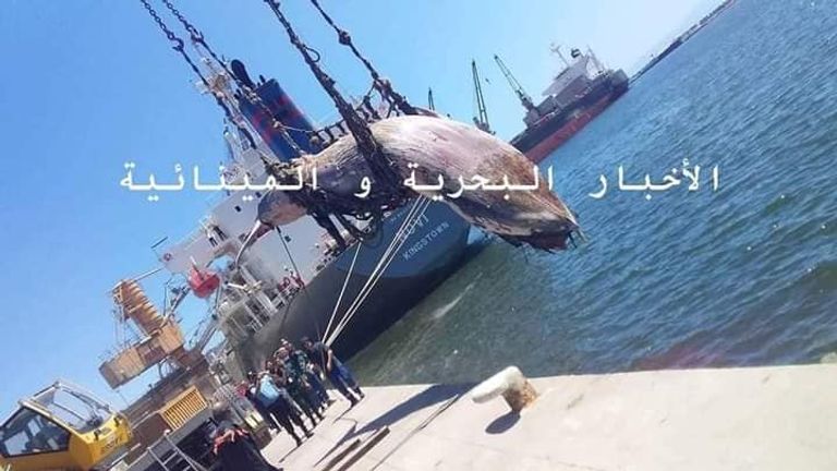 نفوق حوت ضخم بميناء بجاية الجزائرية حوت ضخم - أرشيفية