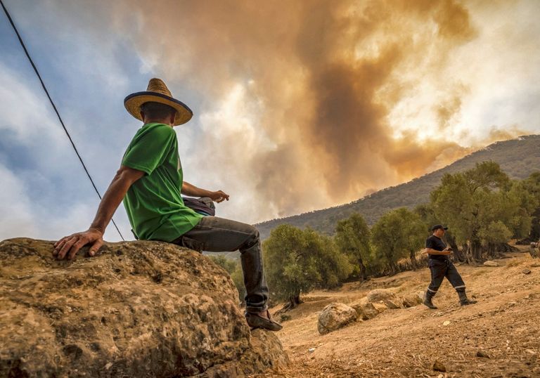 جانب من حرائق شمال المغرب