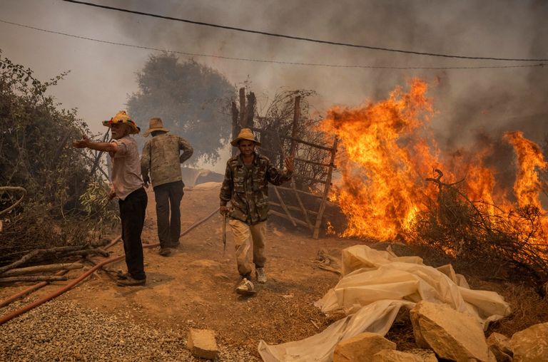 جانب من حرائق شمال المغرب
