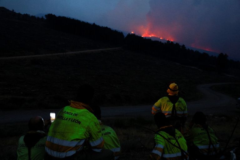 جانب من جهود إخماد حرائق الغابات