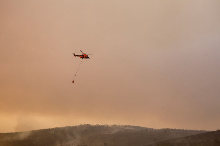 جانب من جهود إخماد حرائق الغابات