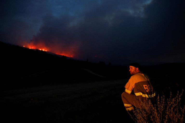 جانب من جهود إخماد حرائق الغابات