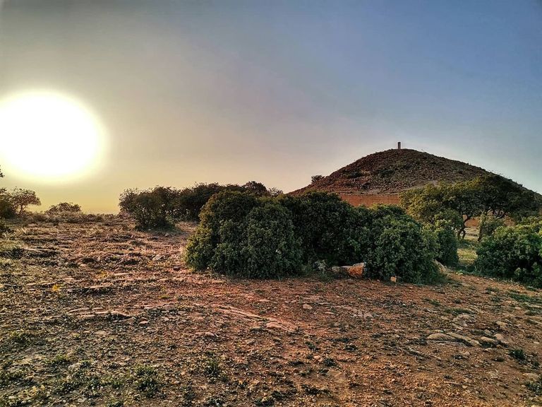 مدينة تيمقاد