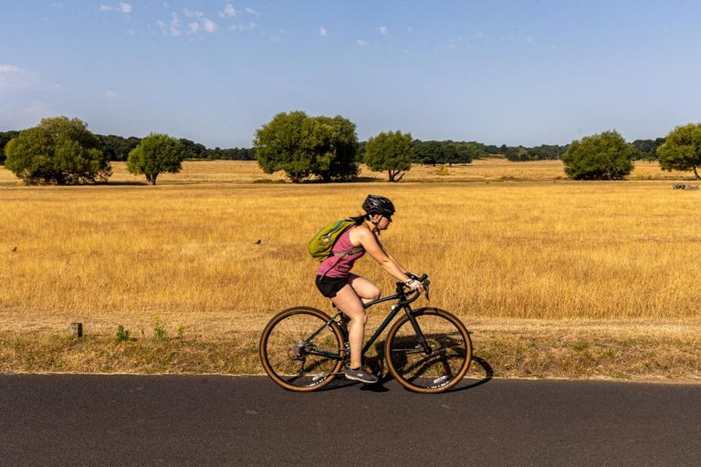 كيف واجه البريطانيون أحر أيام الصيف؟