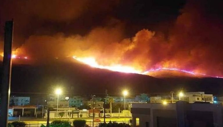 حريق بجبل بوقرنين في ضواحي العاصمة تونس