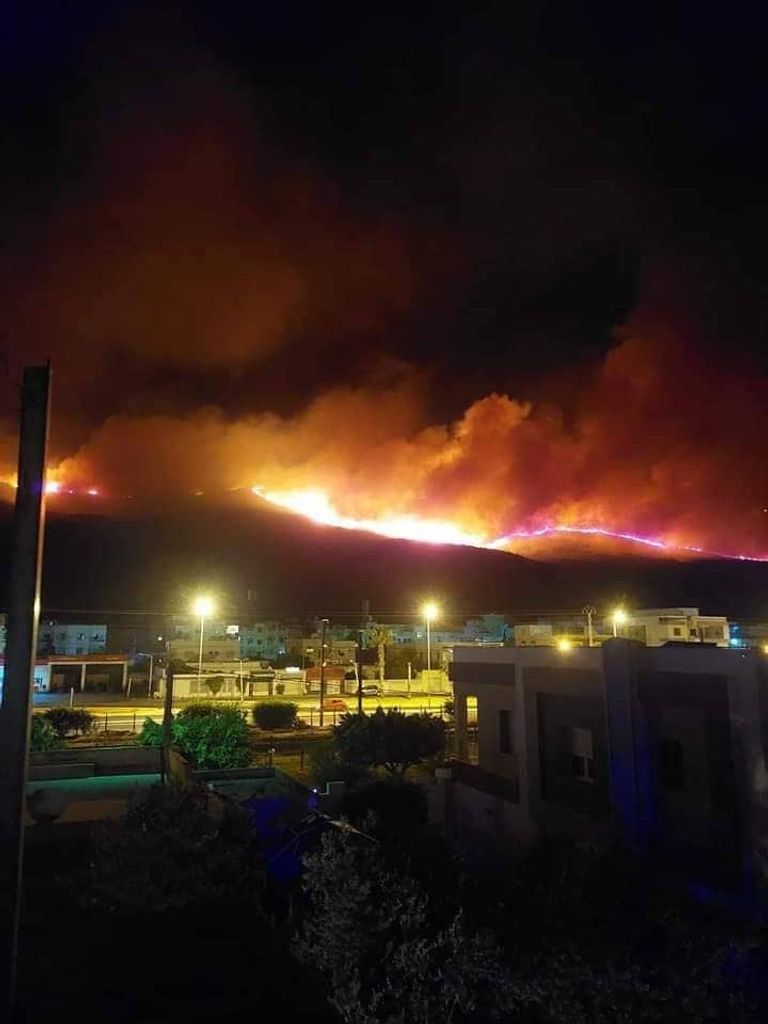 حريق بجبل بوقرنين في ضواحي العاصمة تونس