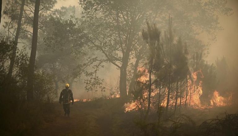 النيران تأكل الغابات في إسبانيا