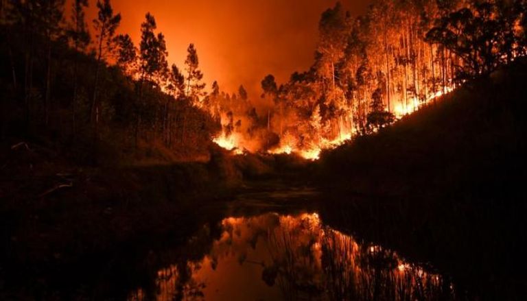 حريق غابات في البرتغال