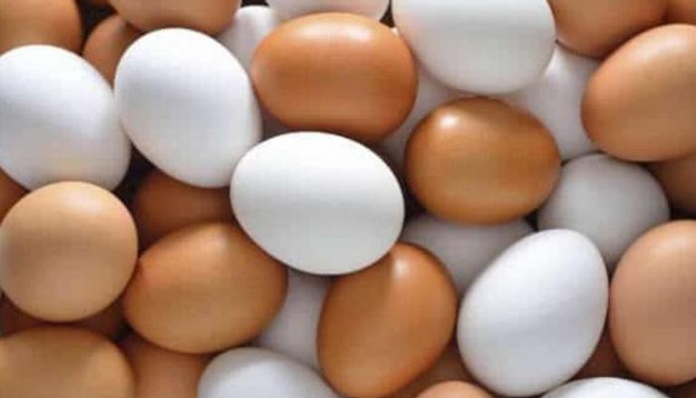 ارتفاع جنوني في أسعار البيض في مصر 