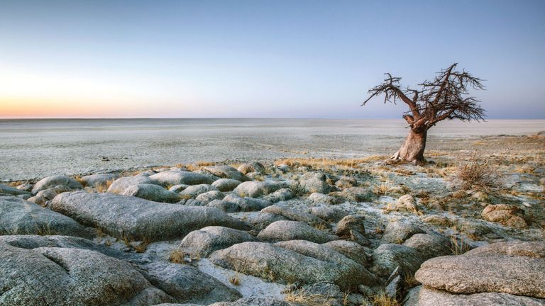 منتزه"Makgadikgadi Pans"الوطني أحد أماكن السياحة في بوتسوانا السياحة في بوتسوانا…5 أماكن في رحلة برية لا تنسى