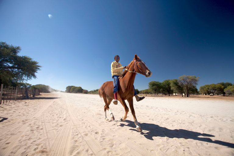 صحراء كالاهاري - موقع visitnamibia تتميز ناميبيا بالتنوع في المزارات السياحة