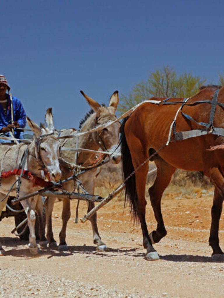 سبيتزكوبي - موقع visitnamibia تتميز ناميبيا بالتنوع في المزارات السياحة