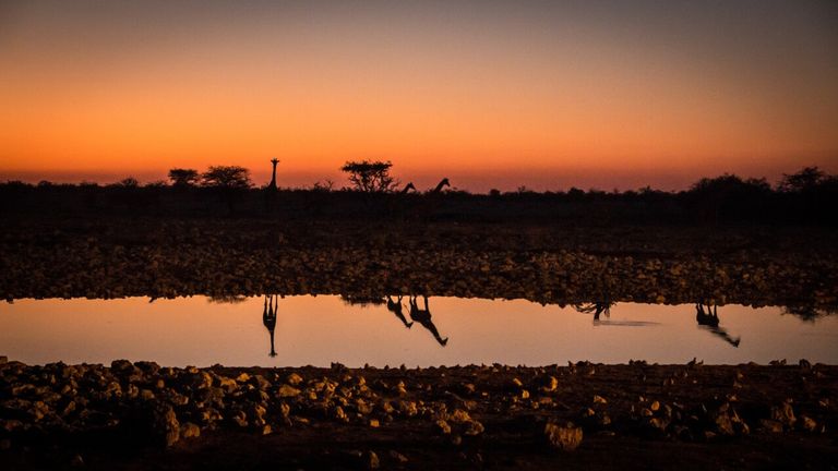 حديقة إتوشا الوطنية - موقع visitnamibia تتميز ناميبيا بالتنوع في المزارات السياحة