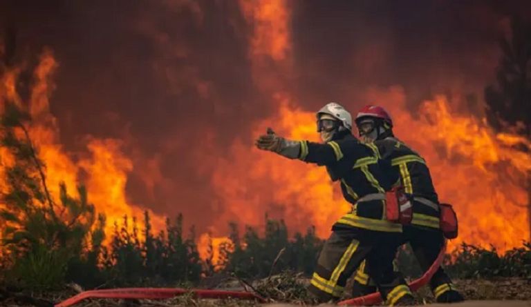 الهجرة من الريف زادت من حدة حرائق الغابات