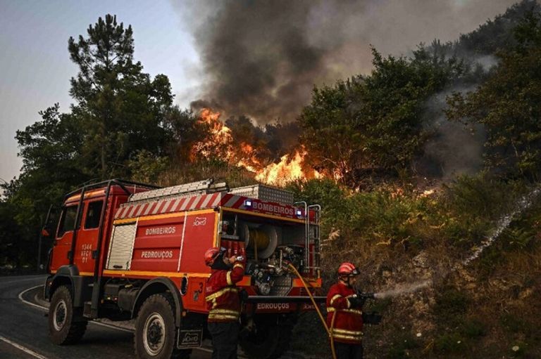 الهجرة من الريف زادت من حدة حرائق الغابات