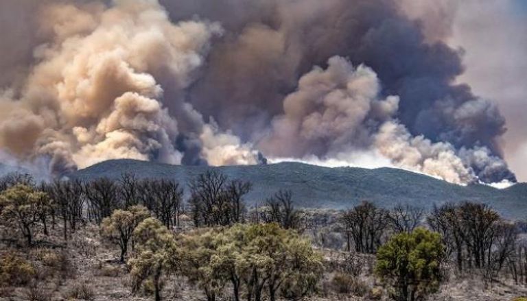 الحرائق الأخيرة في المغرب دمرت 10 آلاف هكتار