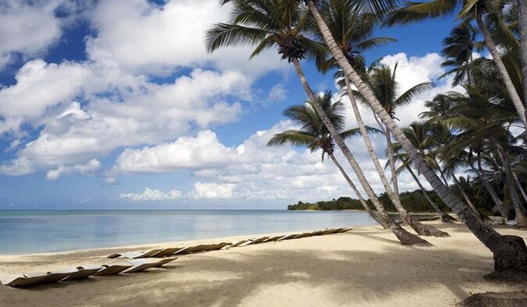 شاطئ السلاحف الأرجواني أجمل شواطئ دومينيكا شواطئ دومينيكا…5 من أجمل روائع الكون