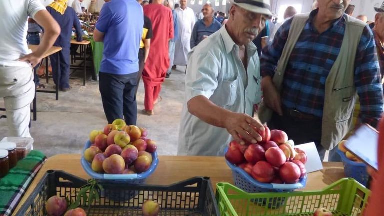 تظاهرة الروزي في الجزائر