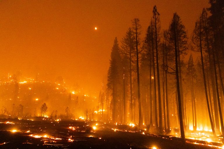 طفل يحمل لافتة تدعو لحماية الأرض