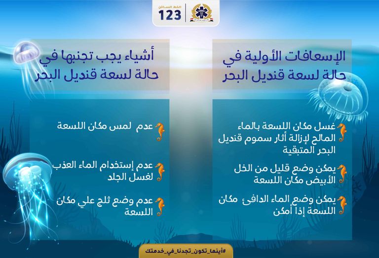 قنديل البحر بجوار قدم فتاة - أرشيفية