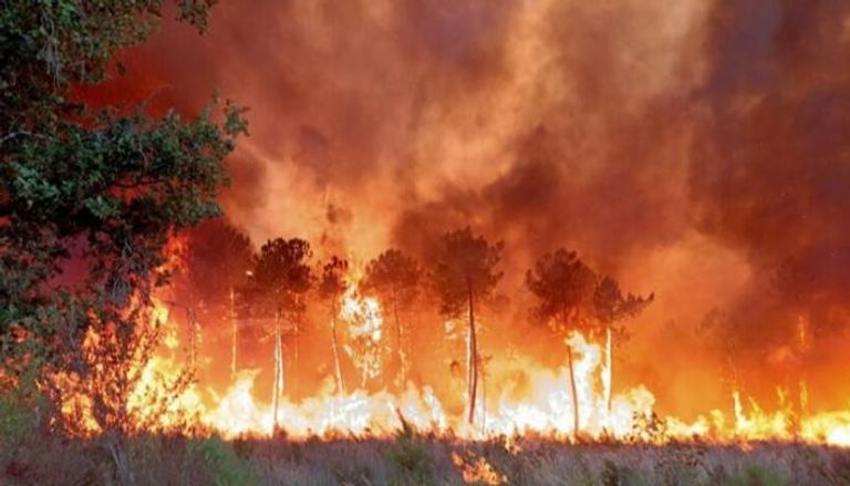 الحرائق التهمت مساحات واسعة من غابات أوروبا