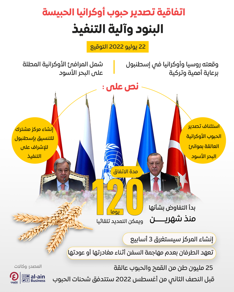 اتفاق إسطنبول.. الغذاء الناجي من رماد الحرب