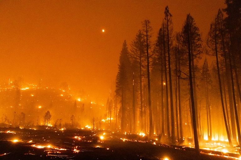 الحريق التهم آلاف الهكتارات من الغابات