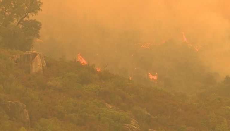 أحد أفراد فرق الإطفاء يكافح حرائق الغابات - أرشيفية