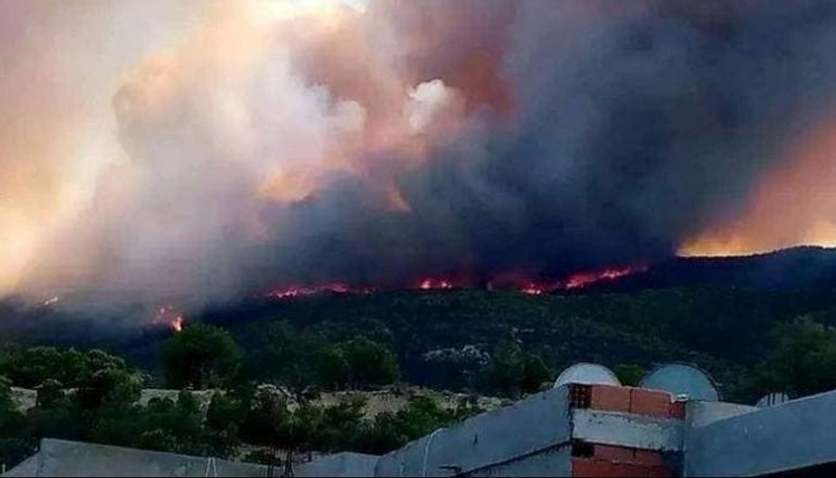 جانب من حرائق الغابات في تونس