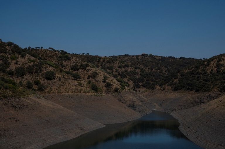 الجفاف ضرب مزارع الزيتون في إسبانيا