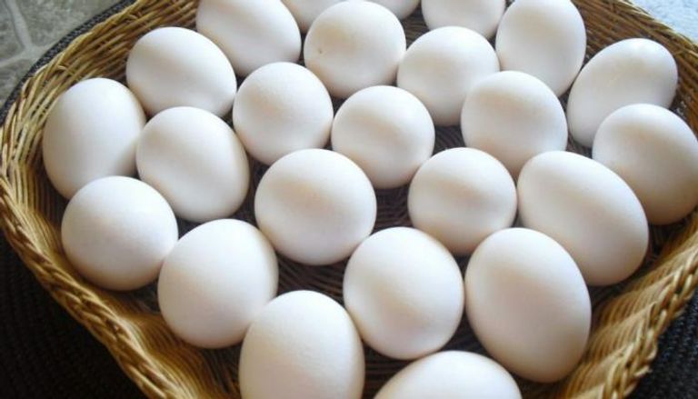 ارتفاع أسعار البيض في مصر
