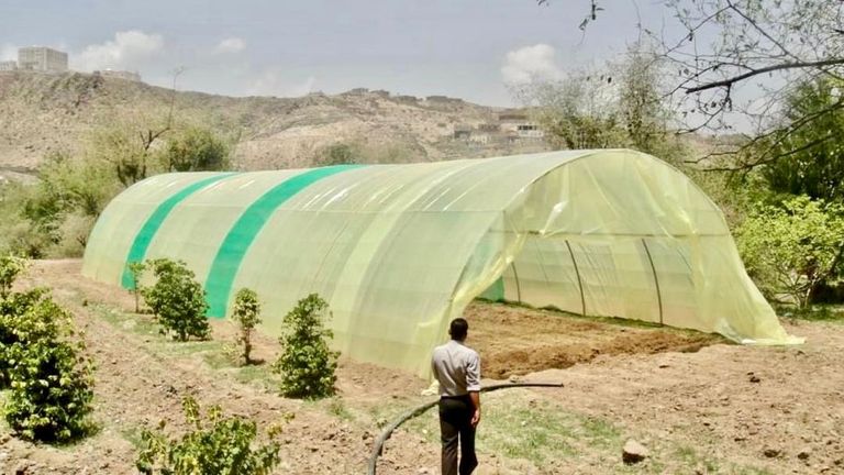 مقبرة الشهداء التي أقيمت على أنقاض المحطة البحثية