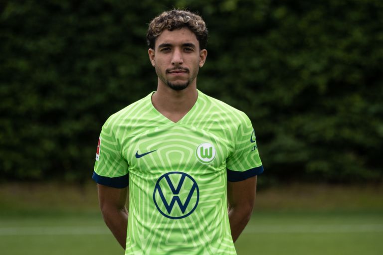 محمود تريزيجيه