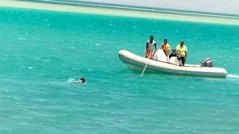 محاولات لإنقاذ سمكة دولفين في مصر