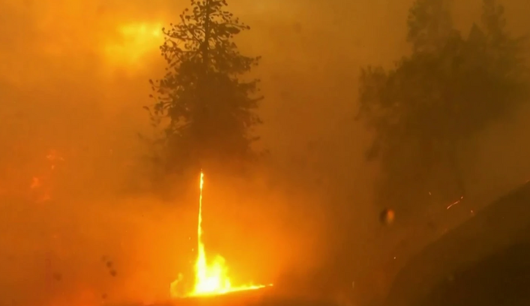 حرائق كاليفورنيا