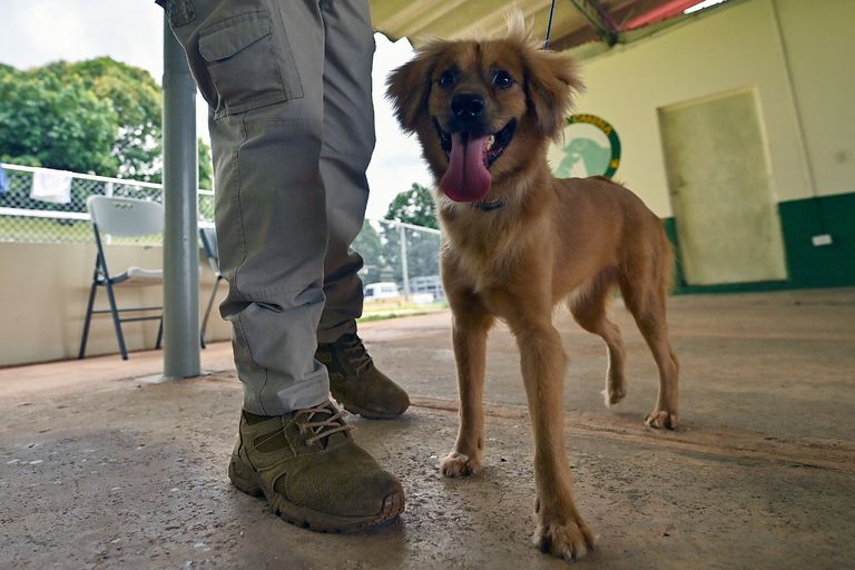 سفينة بضائع - أرشيفية