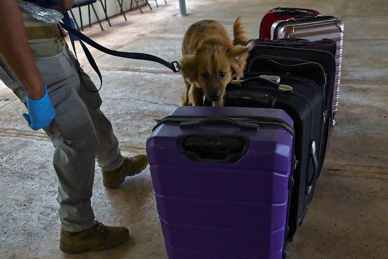 سفينة بضائع - أرشيفية