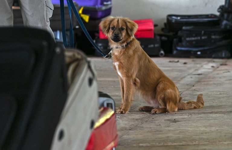 سفينة بضائع - أرشيفية