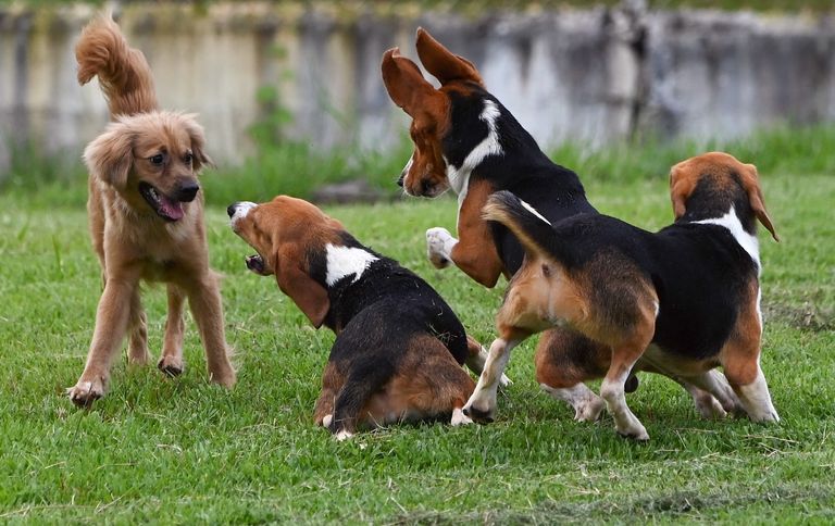 سفينة بضائع - أرشيفية